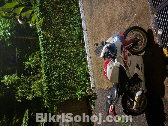 R15 M WGP indo
